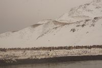 
DSC00150